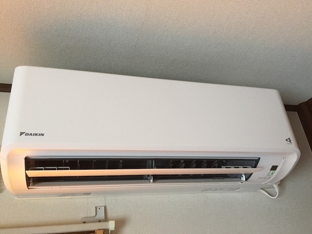 IMG_3084.jpeg