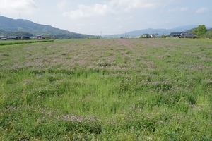 DO01000656.JPG