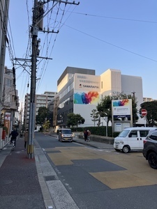 IMG_2351.jpeg
