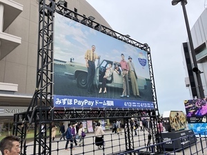 IMG_2550.jpeg